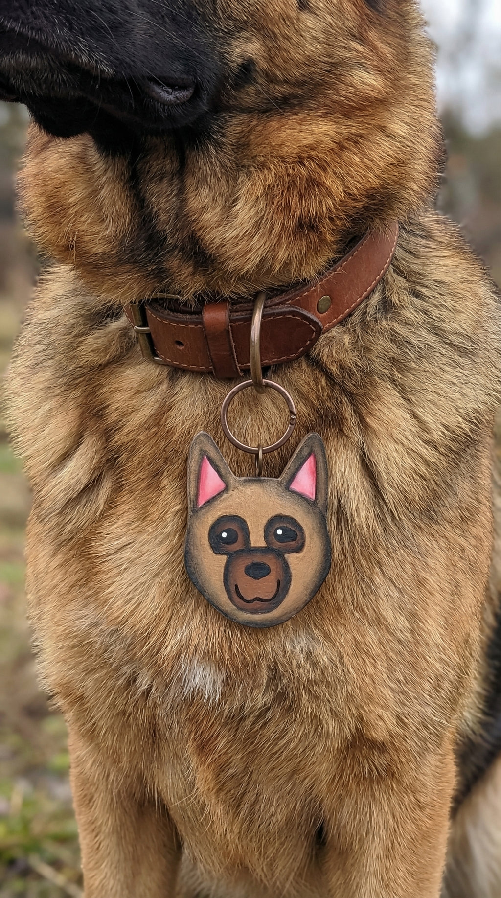 Caritas de Perro — Llavero/Collar