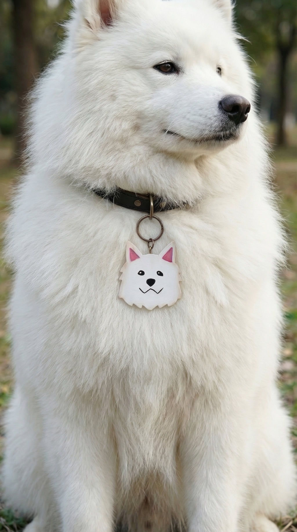 Caritas de Perro — Llavero/Collar